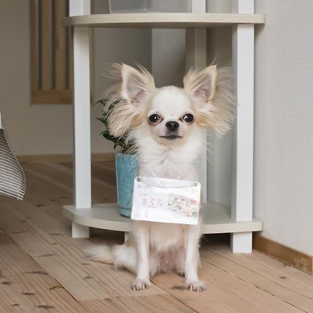 Kanazawa Higashiyama Cabin Hakobune Екстериор снимка